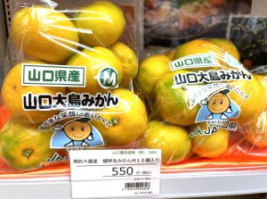 周防大島産の極早生みかん」入荷しました | 山口県東京事務所